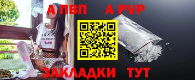 a pvp Славгород