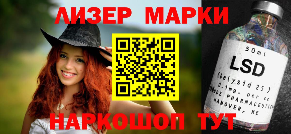 МЕФ Людиново