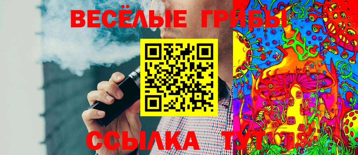 Людиново  Псилоцибиновые грибы Psilocybe  Вход с VPN 