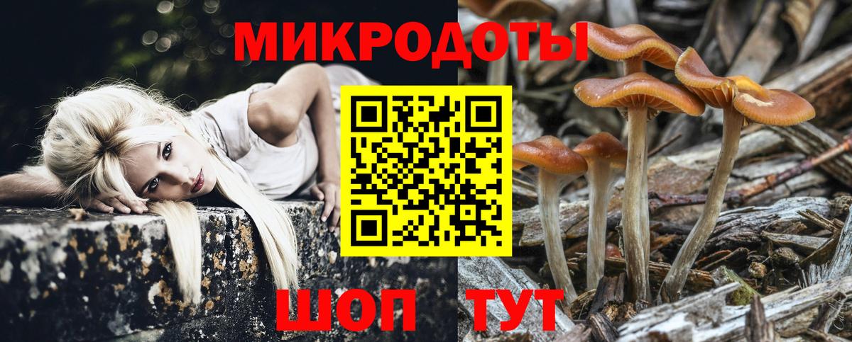 Галлюциногенные грибы ЛСД Людиново